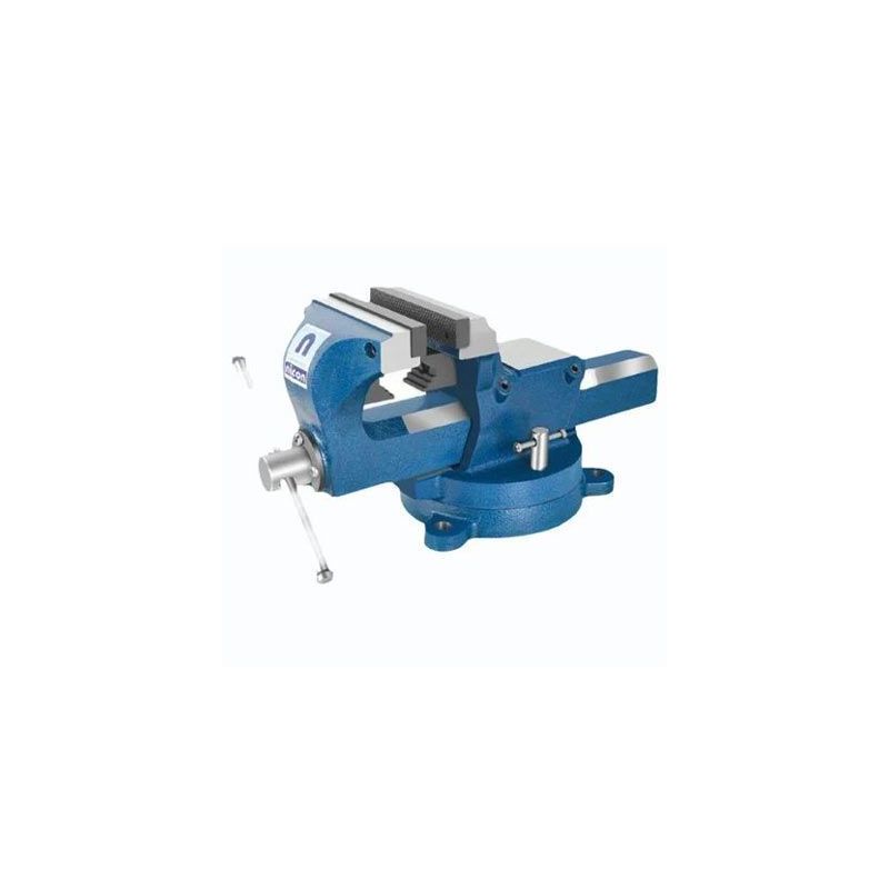 Professional Bench Vise PBV200 Price