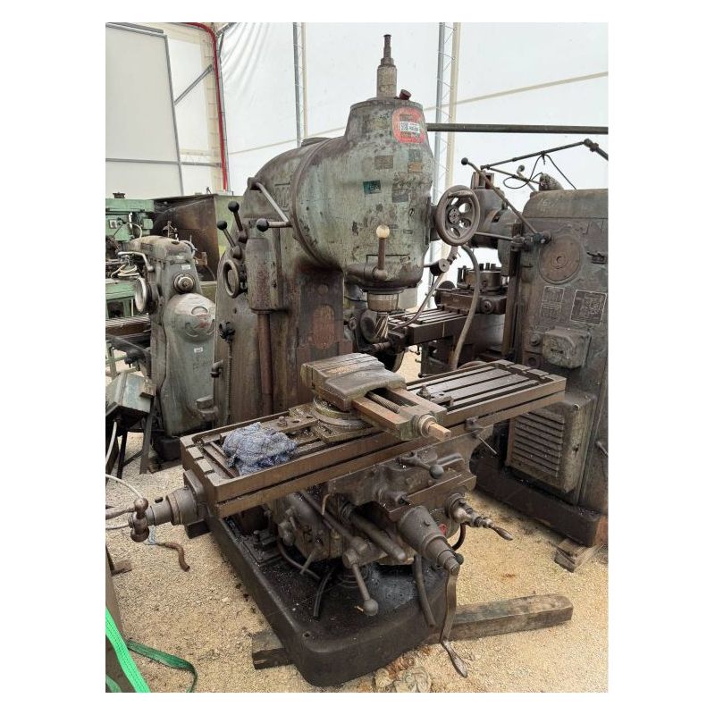 Glodalica Čepel Cijena