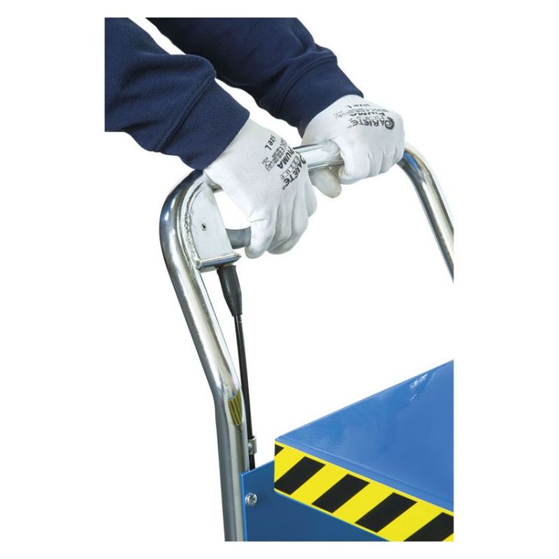 Lift Trolley Price