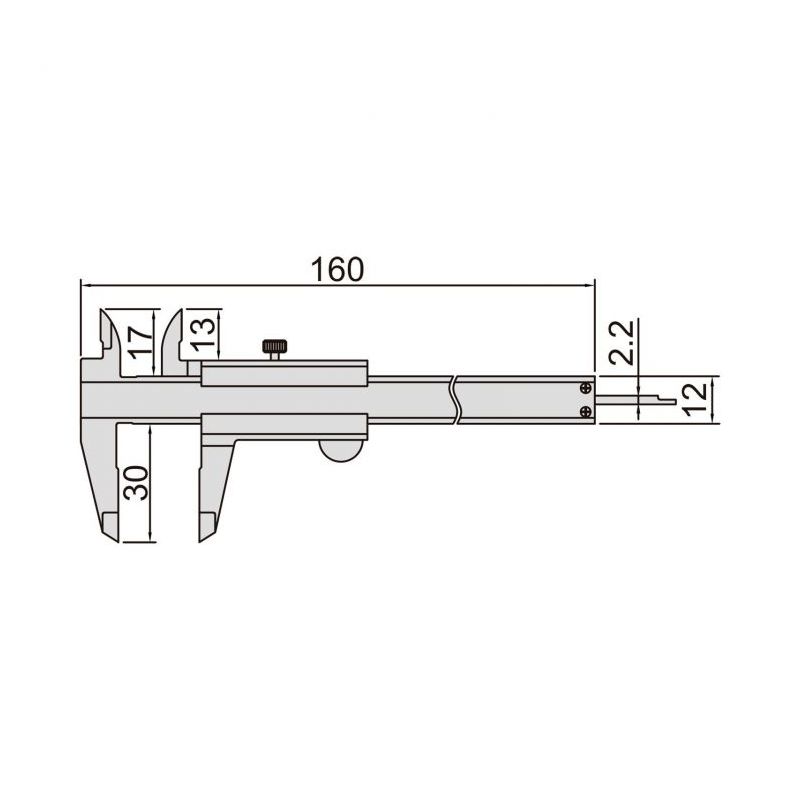 Pomično mini mjerilo 0-100 mm, Insize Cijena