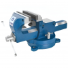 Professional Bench Vise PBV200